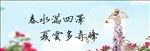 夏裙
