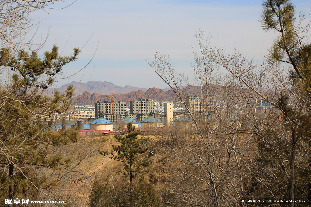 丛林了远望城市红山