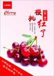 樱桃海报