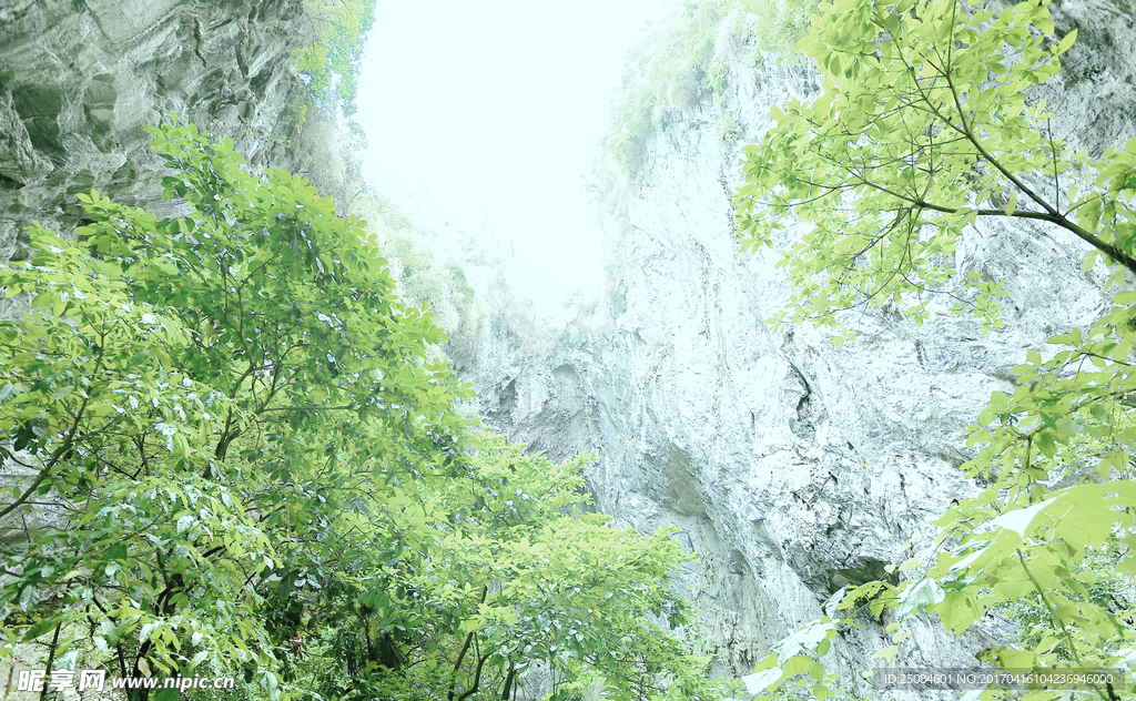 山外山