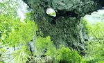 山外山
