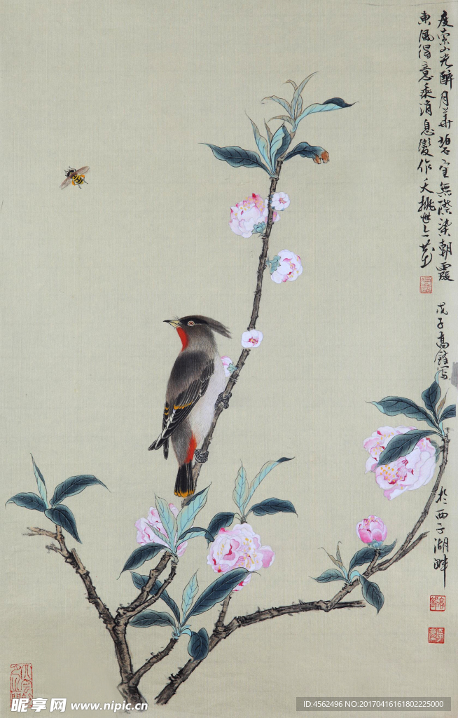 工笔花鸟