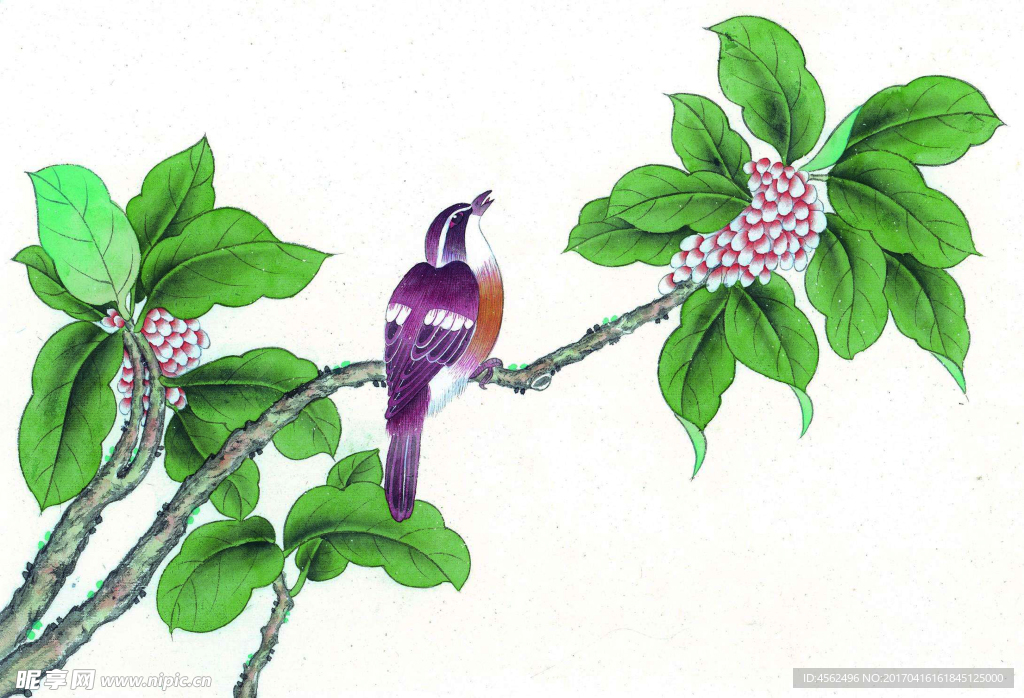 工笔花鸟