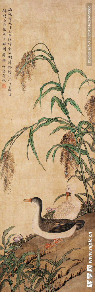 工笔花鸟