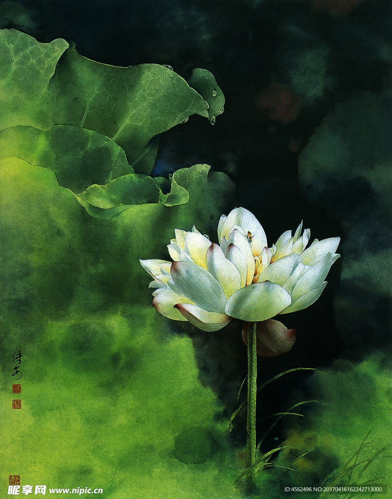 工笔花鸟