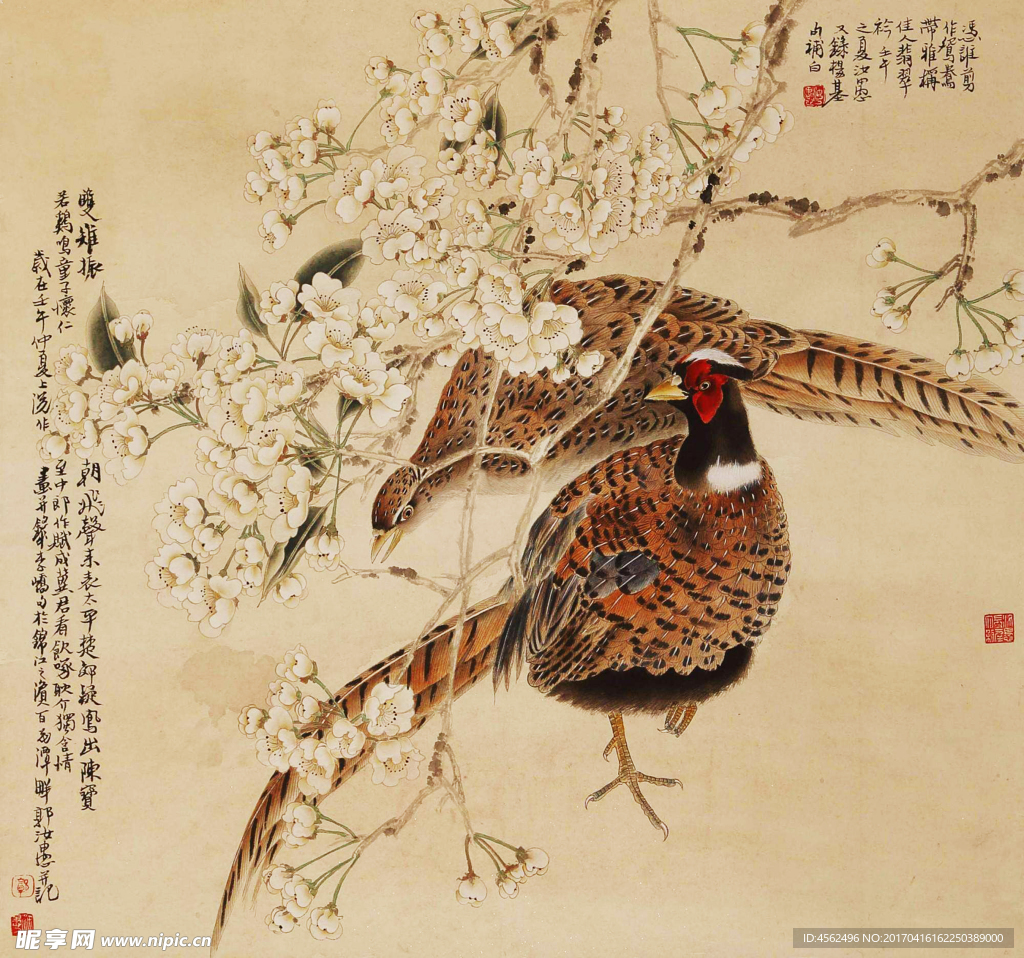 工笔花鸟