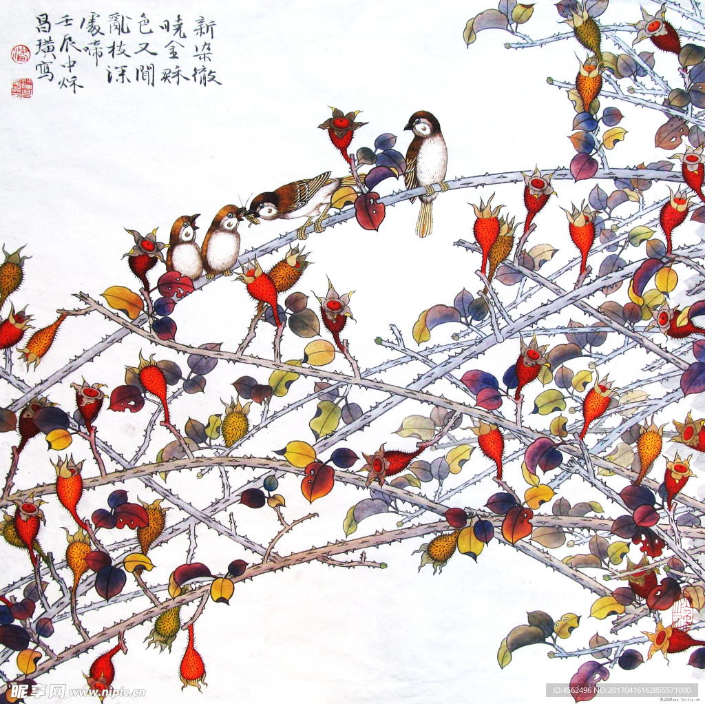 国画花鸟