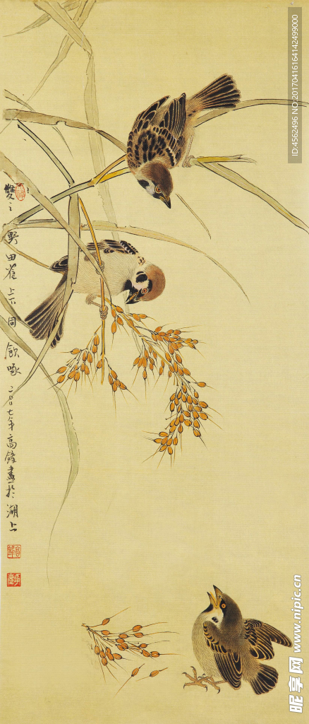 工笔花鸟