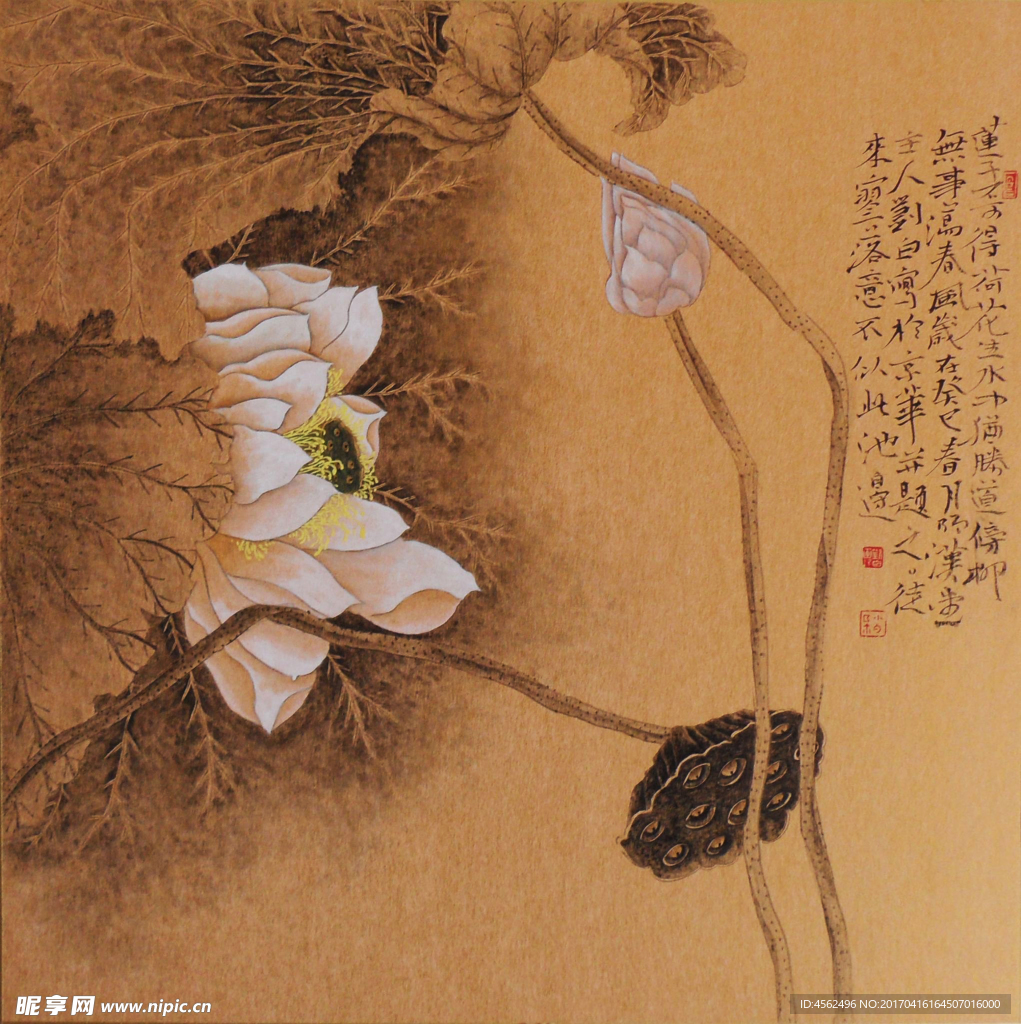 工笔花鸟