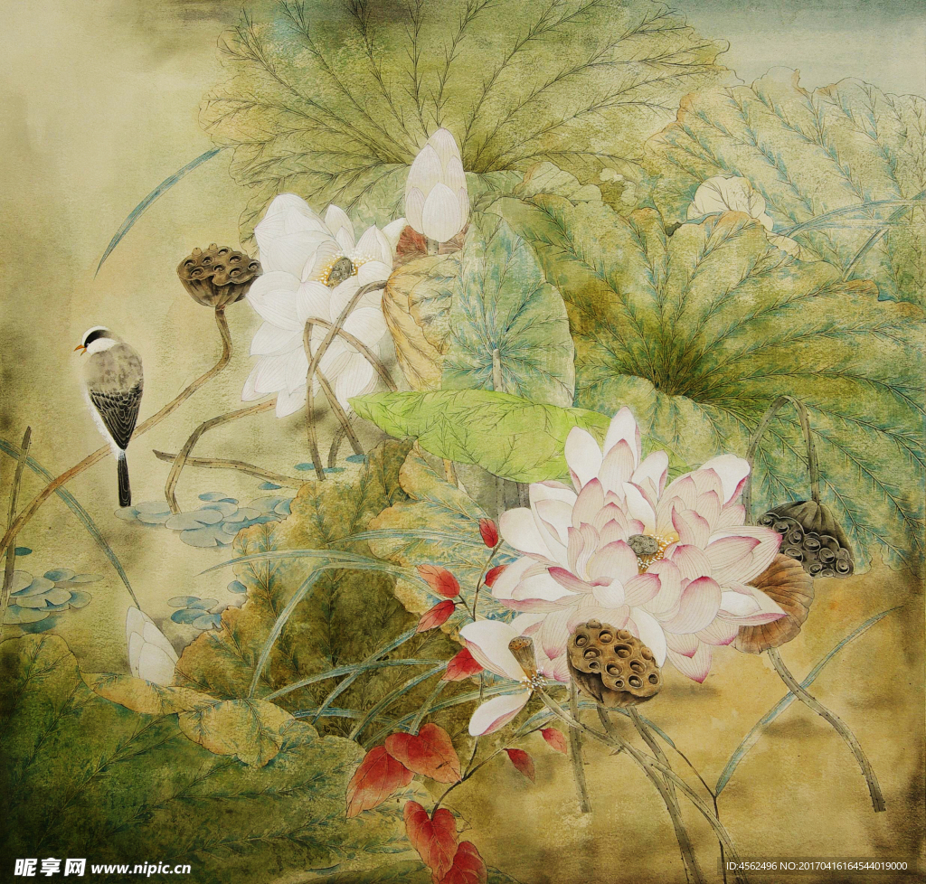 工笔花鸟