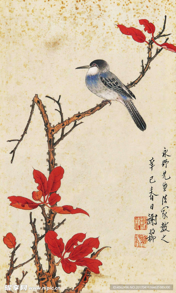 工笔花鸟