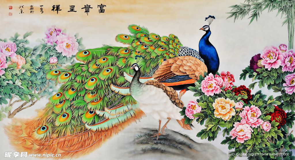 国画孔雀