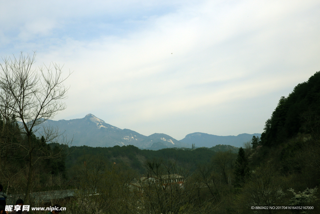 春天的大别山