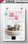 宠物海报