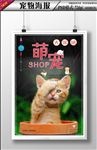 宠物海报