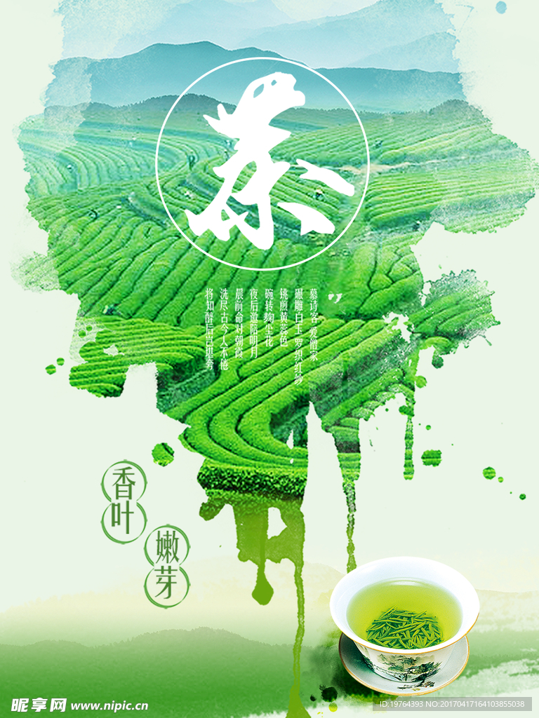 茶