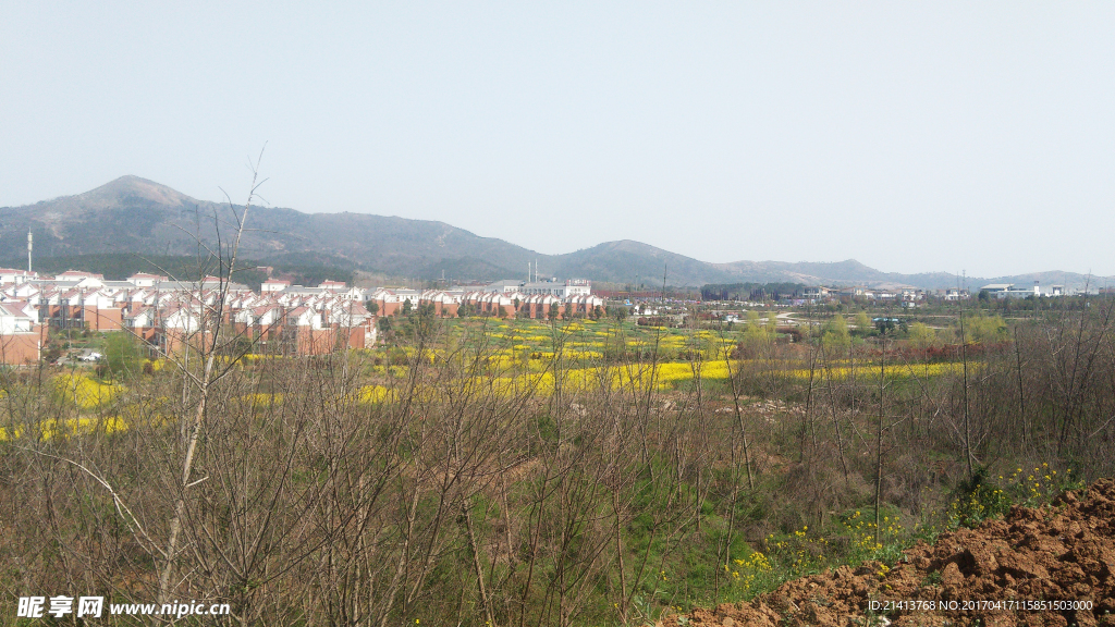别墅村