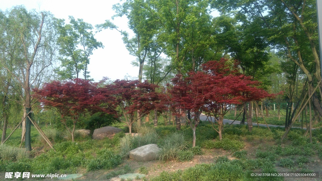 公园