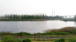 河滩