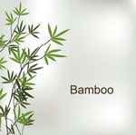 矢量竹子图片