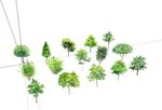 su植物素材