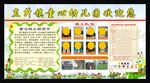 幼儿园展板