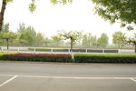 绿色公路