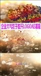 企业大气粒子散开LOGO片头