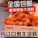 野生河虾淘宝主图psd源文件
