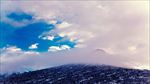 冬季雪景