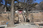 寺院的后院 心故居 冬日寺