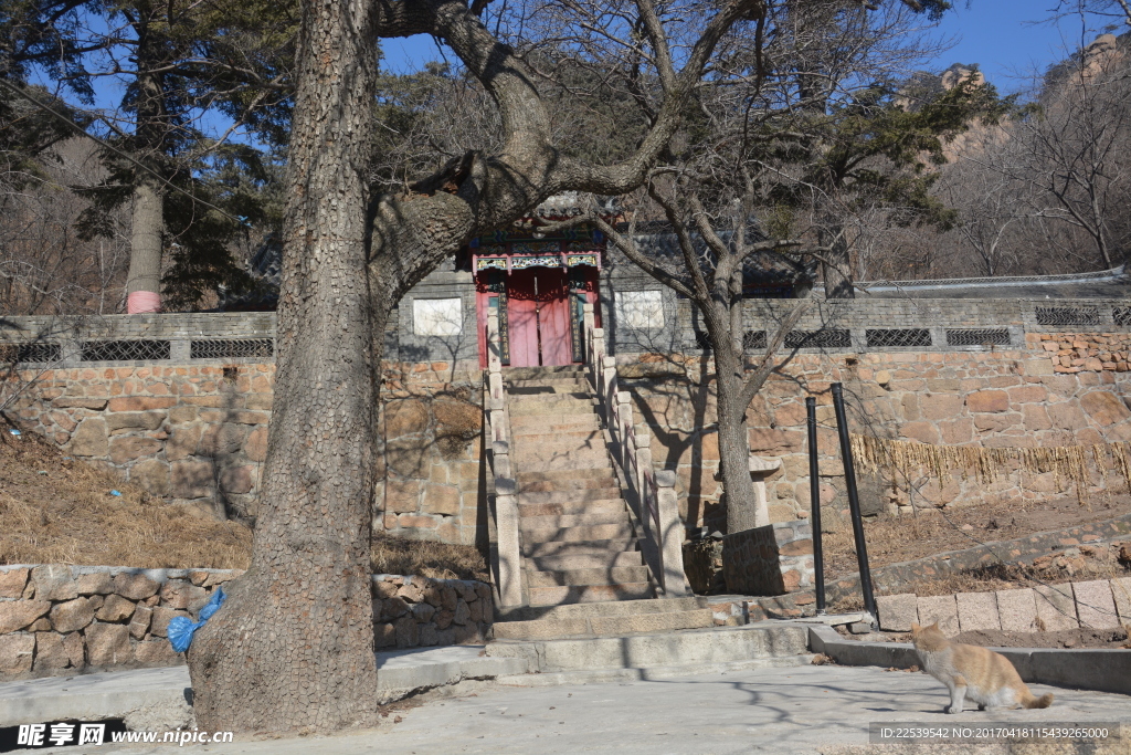 寺院的后院 心故居 冬日寺