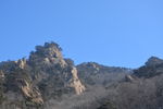 子不语的寺庙后山