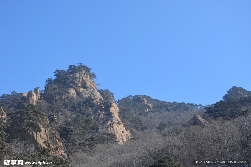 子不语的寺庙后山
