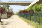 北京农村小路
