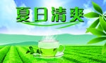 茶叶海报