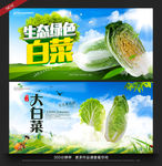 白菜