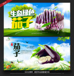 茄子