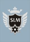 所罗门logo