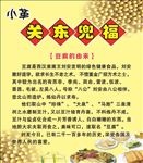 豆腐来历