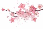 桃花元素