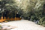 神秘岛