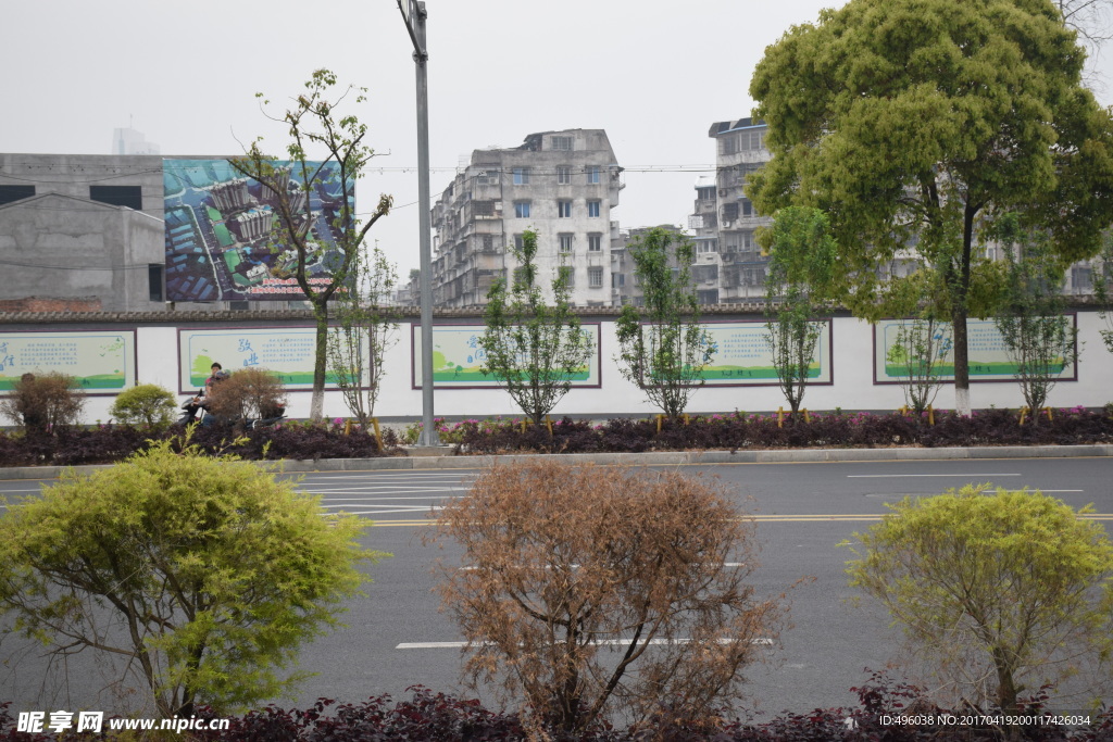 马路