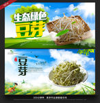 豆芽