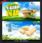 莲藕
