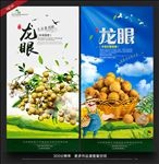 龙眼