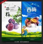 西梅