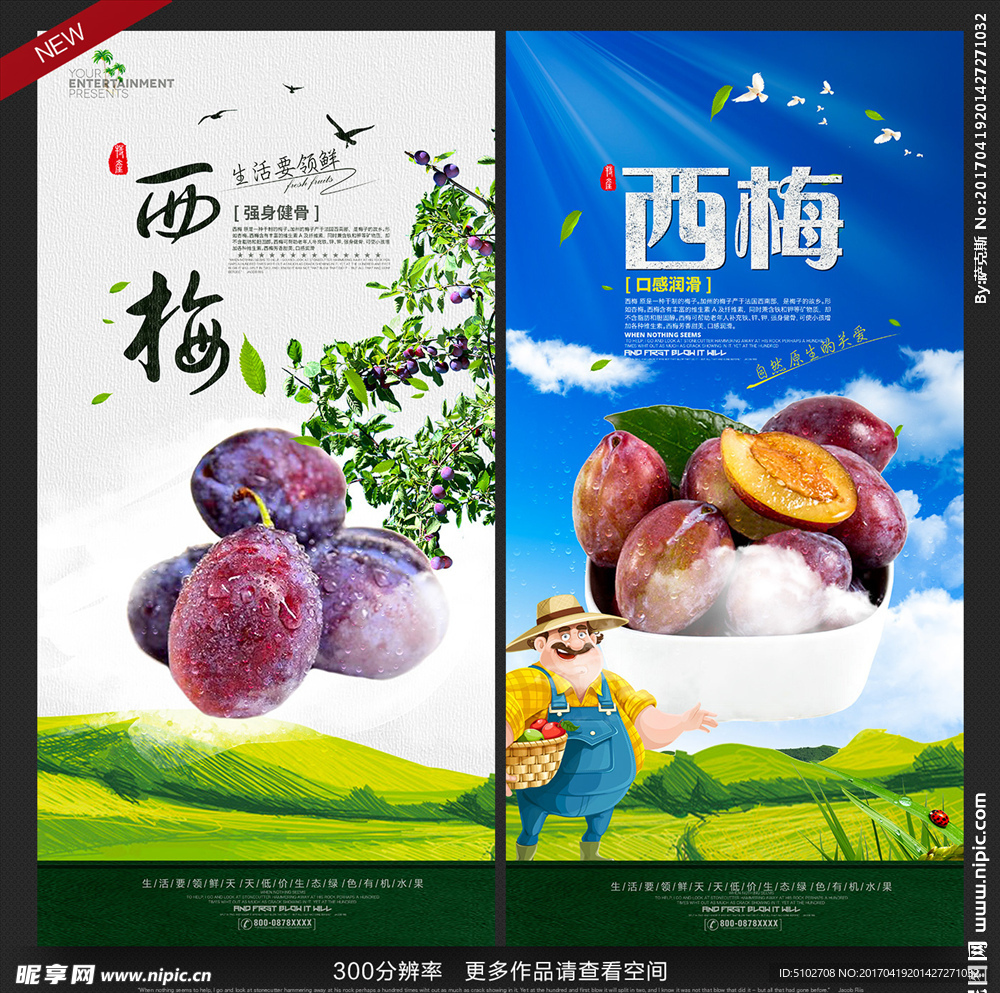 西梅