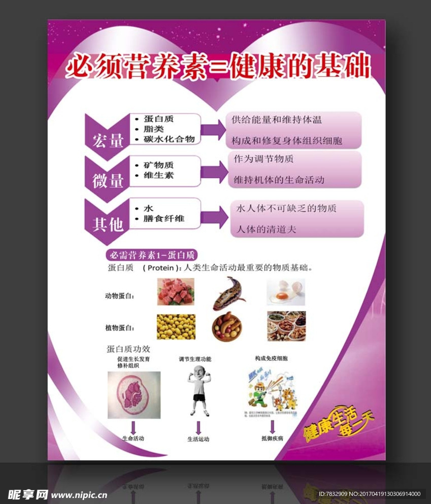 老年营养知识 必需营养素