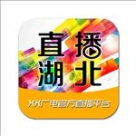 电台标志 直播标志